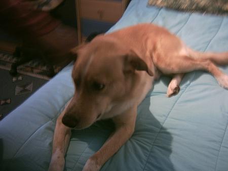 tobi !!